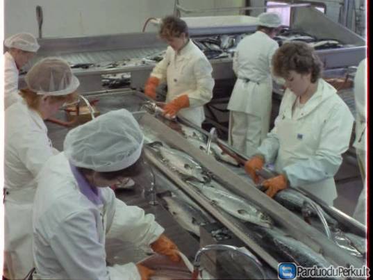 Darbas zuvies fabrike Vokietijoje