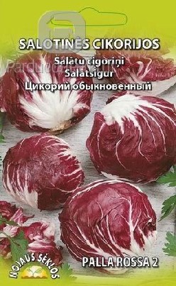 Darzoviu seklos, salotos