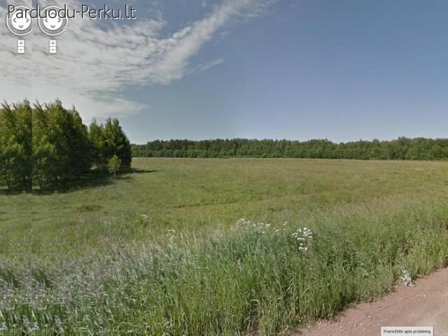 Dauparuose parduodamas  sklypas   50a. su komunikacijomis, e