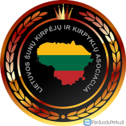 Šunų kirpimo kursai visiems! Skubėkite registruotis..