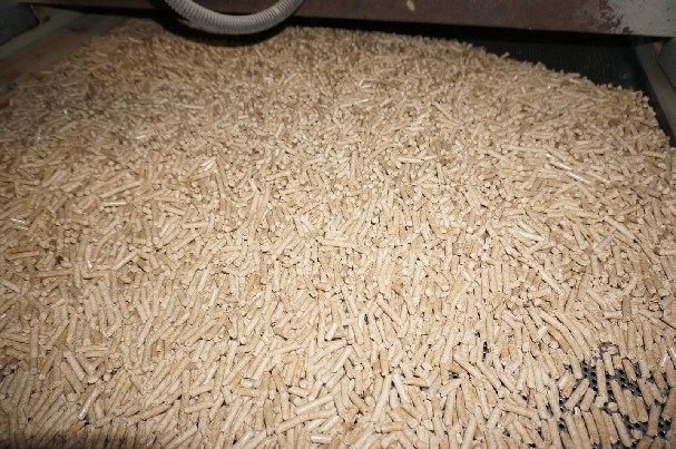 Din+ Medienos granules