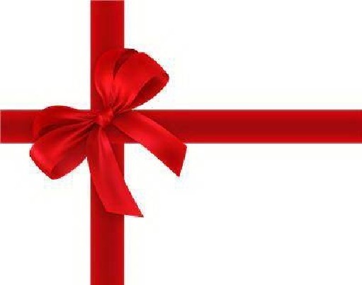 Dovanų kuponas kelionei!!!