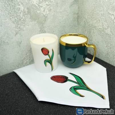 DOVANŲ RINKINYS TULPĖ GREEN