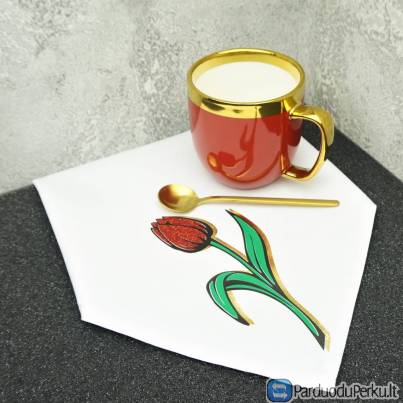 DOVANŲ RINKINYS TULPĖ MINI