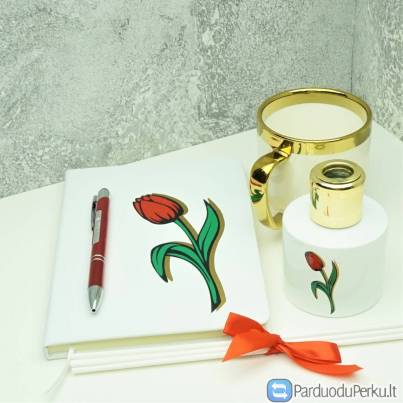 DOVANŲ RINKINYS TULPĖ WHITE