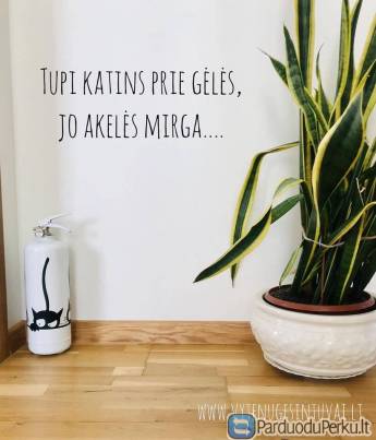 Dovanos namams, įkurtuvių dovanos - Vytėnų Gesintuvai