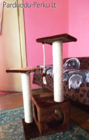 Draskykle katei 70lt