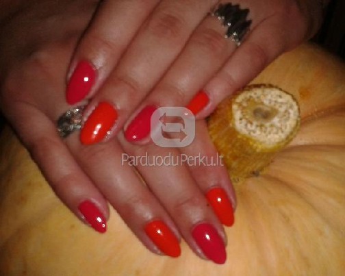 DVIEJŲ SAVAIČIŲ AKCIJA