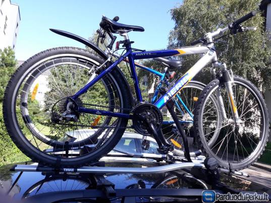 Dviračių laikiklių transportavimui ant stogo nuoma tik nuo 2 eur