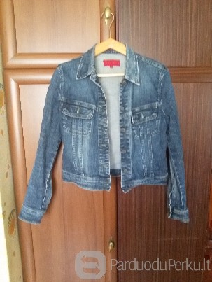 DŽINSINIS ŠVARKELIS