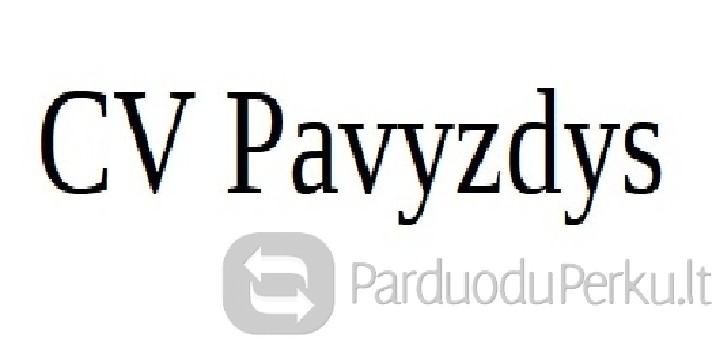Efetyviausi CV rašymo patarimai