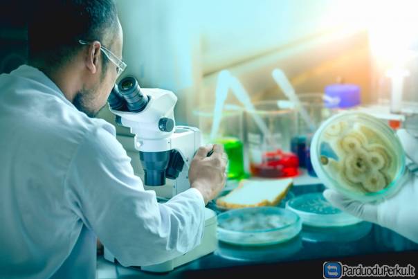 Ekologinių pažeidimų patalpose tyrimai