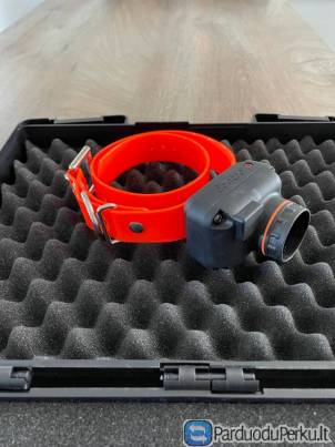 Elektrinis šuns antkaklis dresavimui / medžiojimui