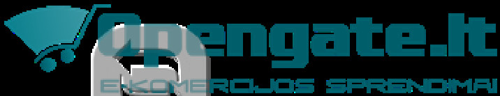 Elektroninių parduotuvių kūrimas