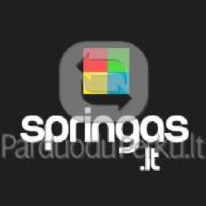 ELEKTRONINIU PARDUOTUVIU / TINKLAPIU KURIMAS / DIZAINU / LOG