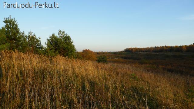 Sklypas sodybai vaizdingoje ir nuošalioje vietoje