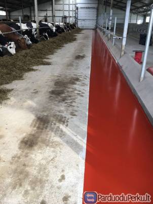 Epoksidinės grindys