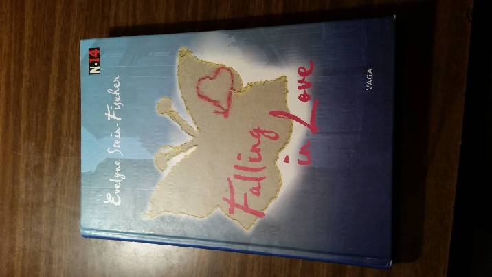 Evelyne Stein-Fischer "Falling in love"