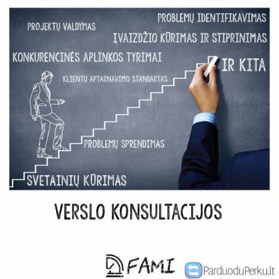 Fami - verslo konsultantai