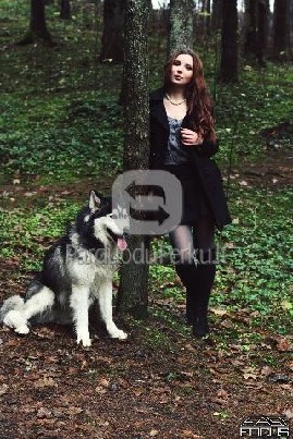 FAST FOCUS Fotografavimo ir filmavimo paslaugos