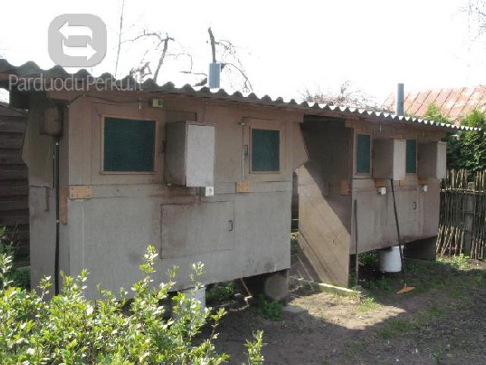 Ferma (narvai) triušių veisimui ir auginimui