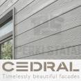 Fibrocementinė dailylentė Cedral Akcija