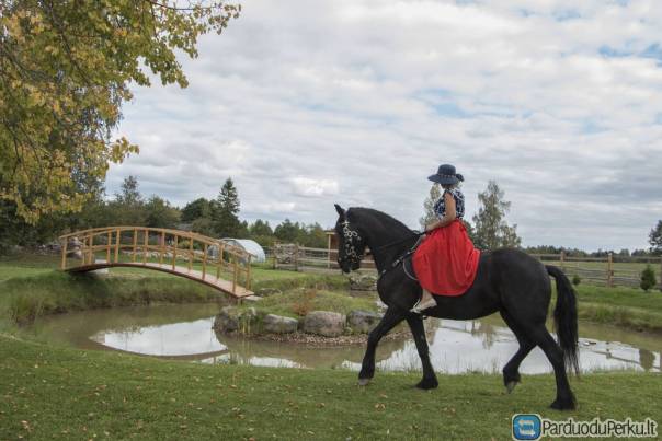 Fotosesijos su žirgais.