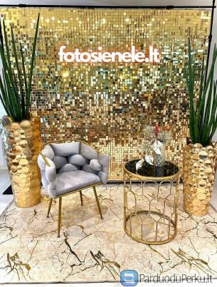 Fotosienele.lt – fotosienelės nuoma