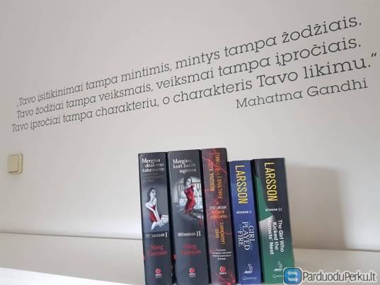 Garsaus Stieg Larsson detektyvų rinkinys