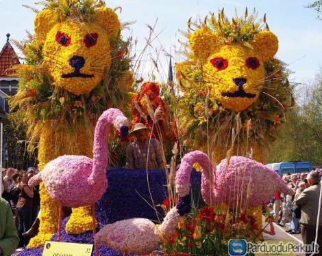 Gėlių paradas Olandijoje 2018