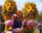 Gėlių paradas Olandijoje 2018