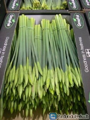 GELIU SKYNIMAS NUO SAUSIO MEN. 2016M.