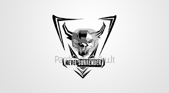 Grafikos dizaino paslaugos kokybiškai ir į sutartą