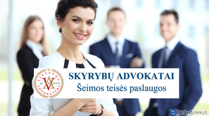 Greitos skyrybos internetu
