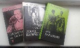 Grožinė literatūra už sutartinę kainą