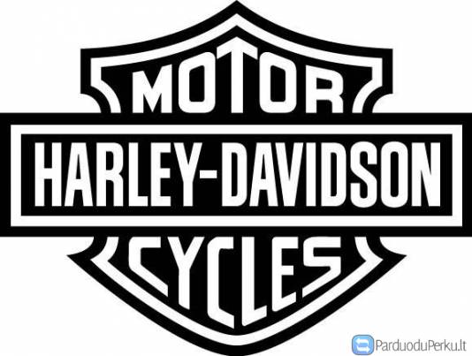 HARLEY DAVIDSON PROGRAMAVIMAS diagnostika raktu pulteliu gamyba