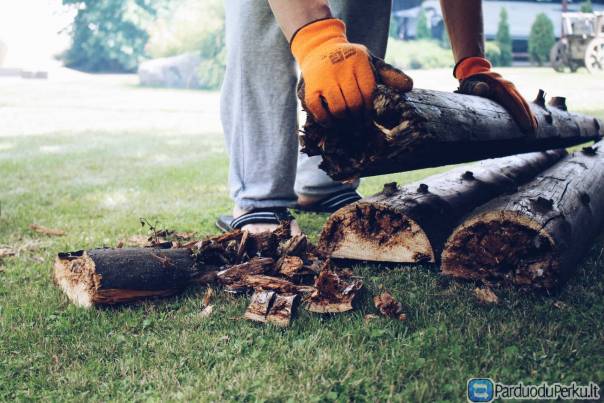 Headex - darbas užsienyje