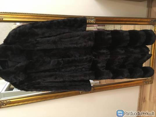 Ilgi kailiniai traformuojasi i puskailinius