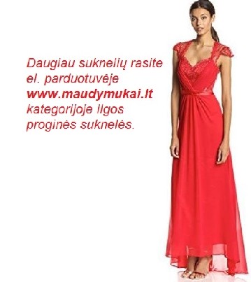 Ilgos proginės suknelės internetu