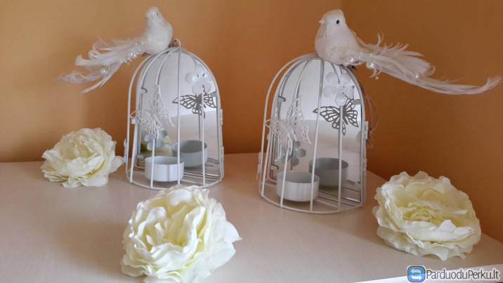 Indų ir dekoracijų nuoma