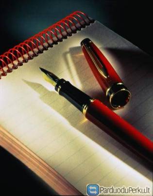 Individualios įmonės pertvarkymas į UAB