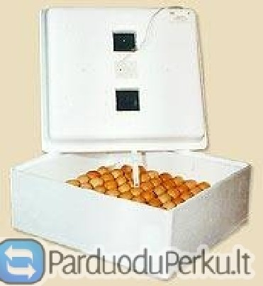 Inkubatorius '' Ideali perekšlė''