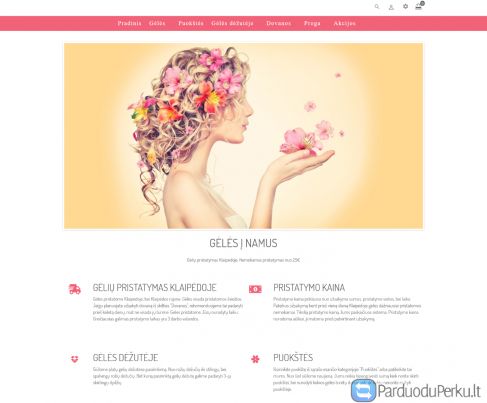 Internetinių parduotuvių kūrimas