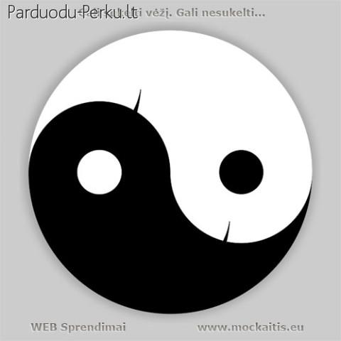 Internetinių puslapių ir Elektroninių parduotuvių kūrimas