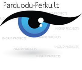 Internetinių puslapių kūrimas