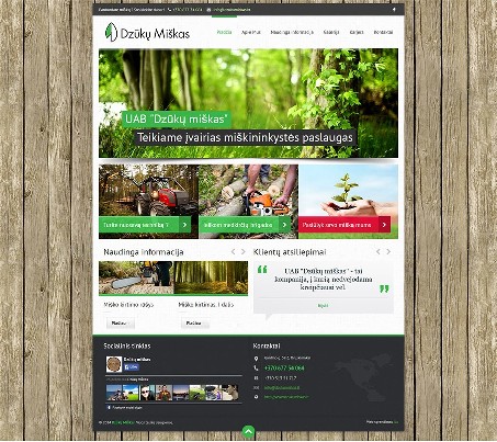 Interneto svetainių kūrimas ir administravimas