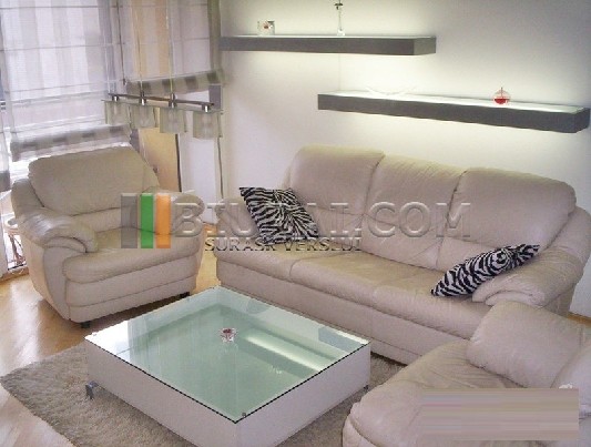 Išnuomojamas 43 kv.m., 2 k. butas Lūšių g., Žvėryne