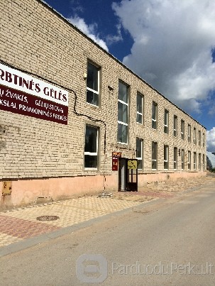 Išnuomojamos komercinės patalpos Mažeikių mieste