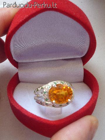 Ispudingas sidabrinis ziedas