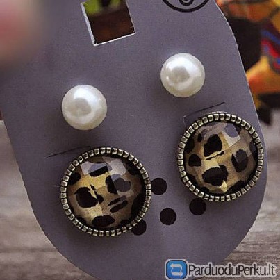 Įvairiausių auskarų rinkinys 13 porų